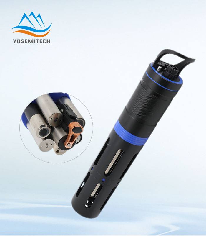 在线多参数传感器